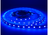 Світлодіодна стрічка 5050-60led-10mm-12V 10W/m IP20 подвійна плата синій 2 роки гарантії LEDUA