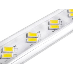 Светодиодная лента 1 м SMD5730 120 LED 220В 28.8Вт/м IP68 6500K холодный белый (Уцененный товар)