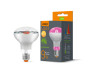 LED лампа VIDEX Filament R80FF 09W E27 1200K