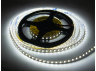 Светодиодная лента 1 м OEM SMD2835 120 LED 5В 8Вт IP20 холодный белый (ST-5-2835-120-CW-20)