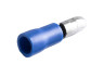 Изолированный наконечник папа синий