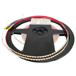 Світлодіодна стрічка 2025-240-IP20-CWd-3-24 RN0SQ0XC CRI90 6500К