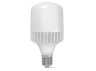 LED лампа VIDEX A118 50W E40 5000K