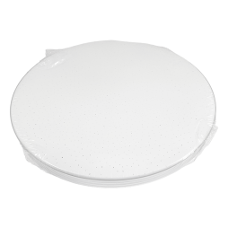 Світильник світлодіодний круглий накладний 24Вт 175-265V 5000К без д/у (DL-R106-24-5) Biom