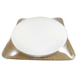 Світильник світлодіодний круглий накладний 30Вт 175-265V 5000К без д/у (DL-R106-30-5) Biom