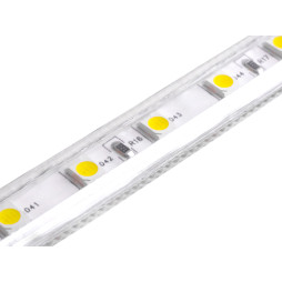 Светодиодная лента 1 м SMD5050 60 LED 220В 14.4Вт/м IP68 6500K холодный белый