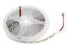 Світлодіодна стрічка 5050-60led-10mm-12V IP20 білий (МТК-300W5050-12) MTK